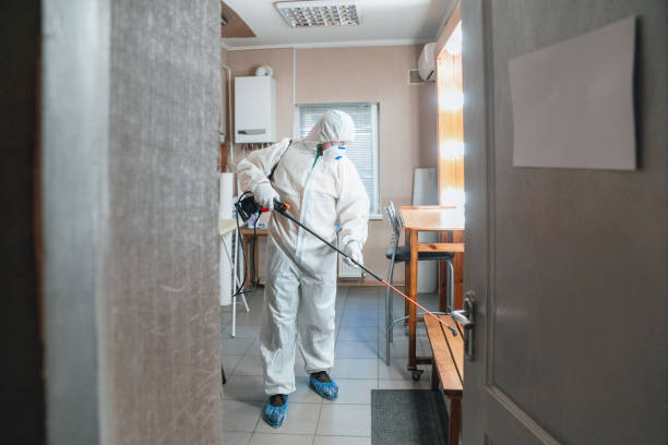 Best Mold Remediation for Healthcare Facilities  in River Road, OR